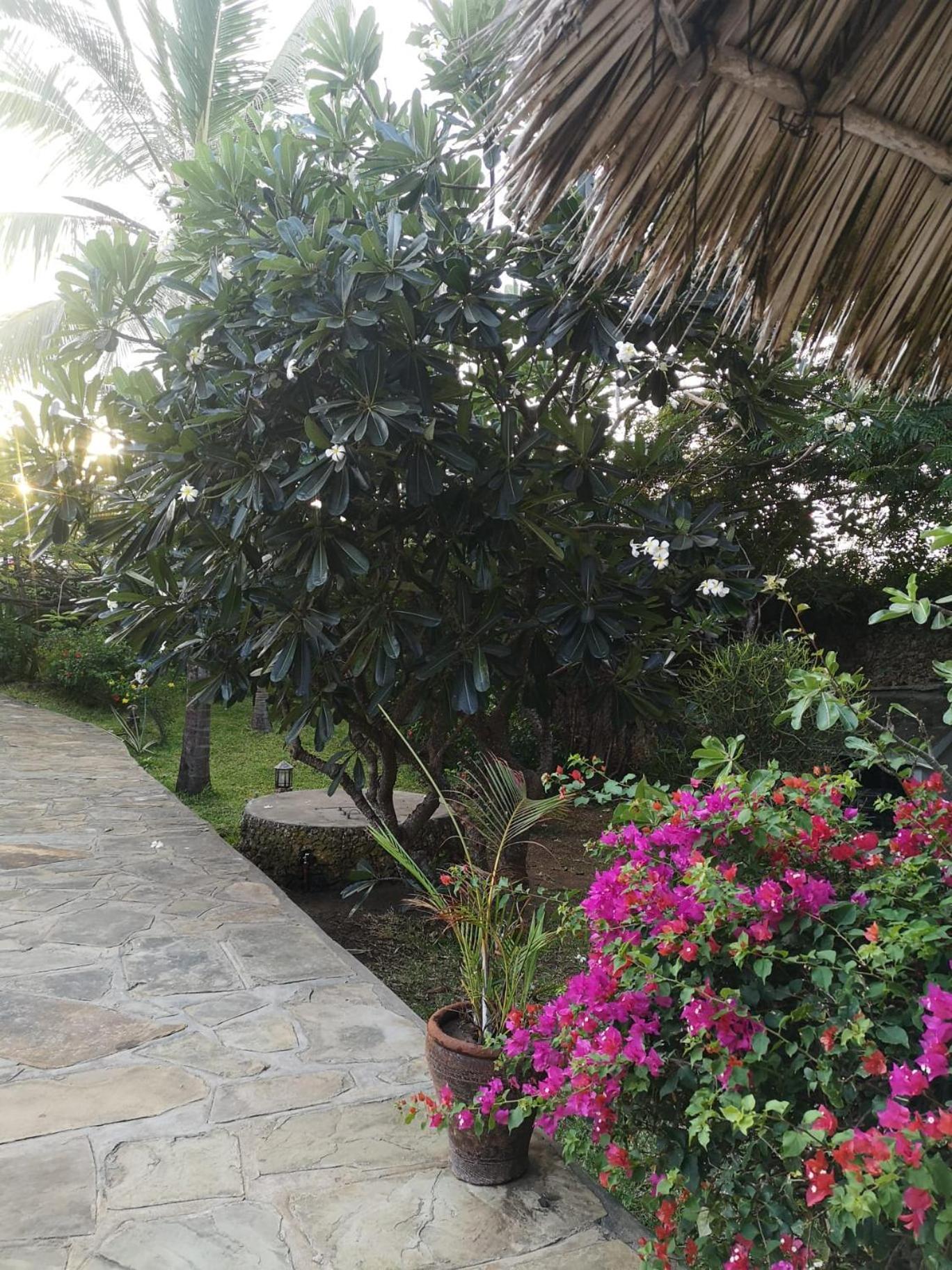 Fulvia House Villa Malindi Exterior foto